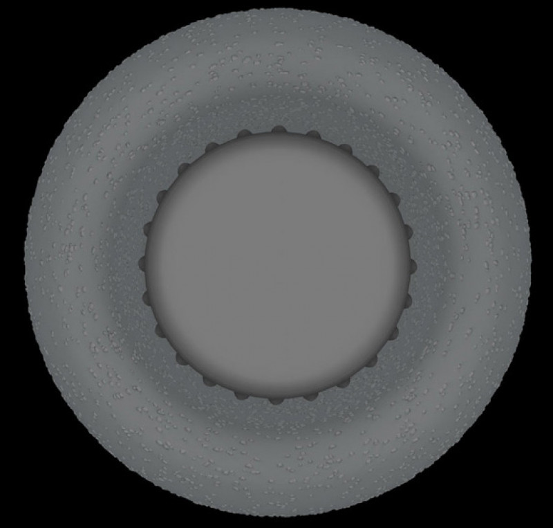 Content image #5