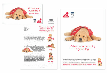 Guide Dog Appeal