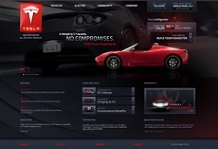 Tesla Motors Website