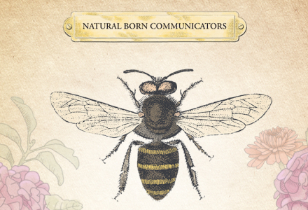 NZDM Awards Natural Communicators