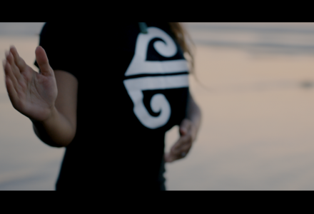 Air New Zealand - Te Mangopare