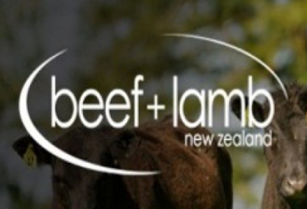 Beef + Lamb New Zealand website