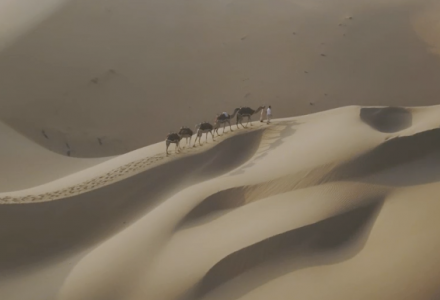 Qasr Al Sarab Desert Resort I Abu Dhabi, UAE