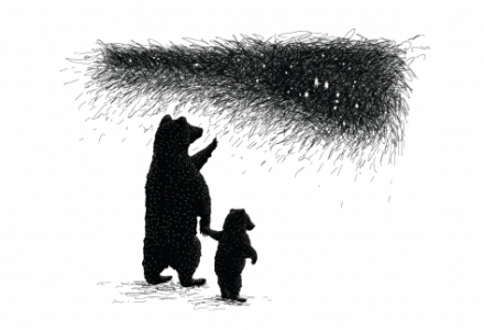 Night-time Bear Art Prints