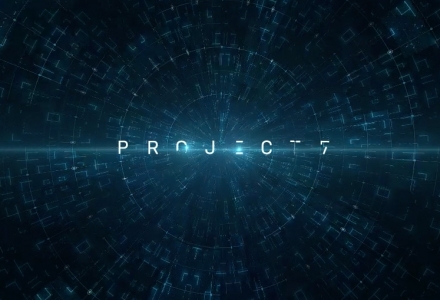 Project 7 Meta-game