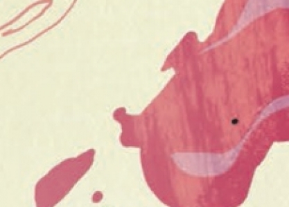 Close up 3 copy2