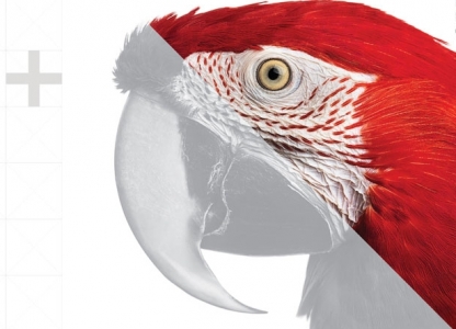 Parrot2