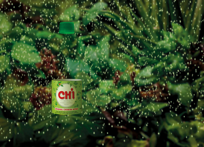 chi wide2