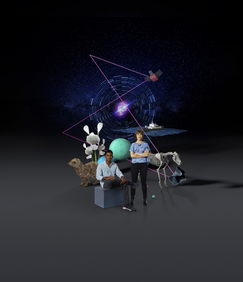 Content image #6
