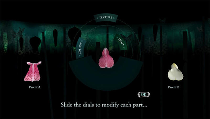 Content image #4